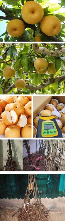 ★원황배 0 무제-1.jpg