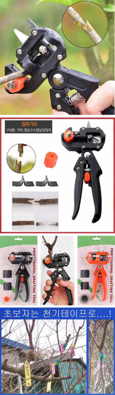 ★접목가위0 1-21 12 노.JPG