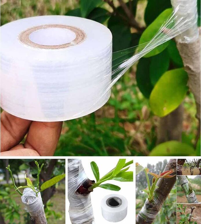 접목비닐 1-3센티200미터-사고.jpg