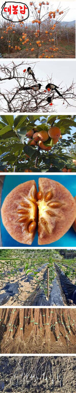 ★선사환0 0- 랑,하,.jpg