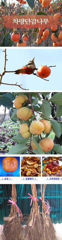 ★차량단감0 0 .jpg