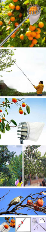 ★ 장대6 1- 6m5단1.40미1.1kg .jpg