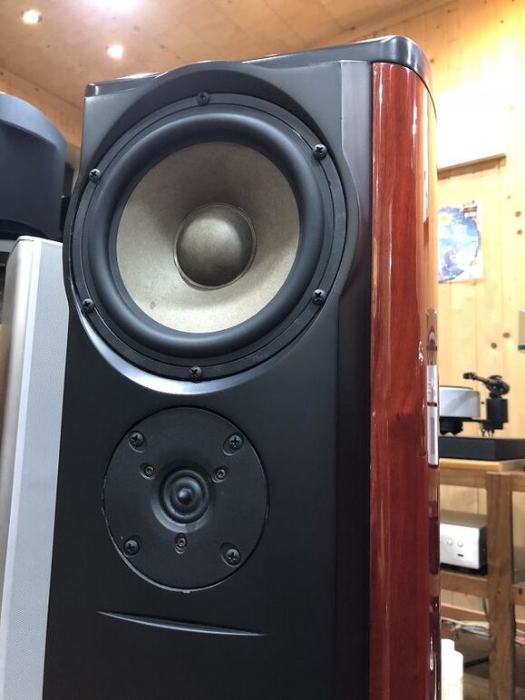 GEMME AUDIO TANTO (5).JPG