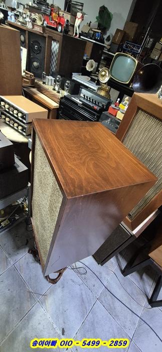 Jensen Triette 11-1.jpg