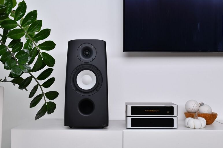 LINDEMANN POWER 1000 II 11.jpg