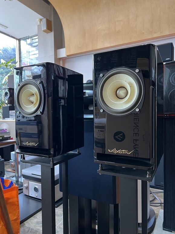 VOXATIV HAGEN (19).JPG