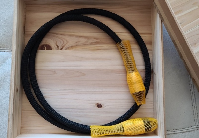 SANCTUS ESTHER POWER 5.jpg