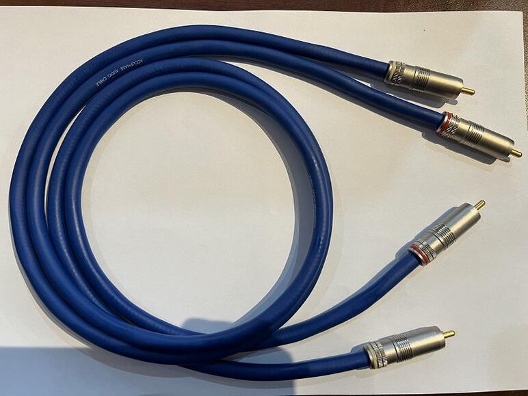 ACCUPHASE AL-10 RCA (1).JPG