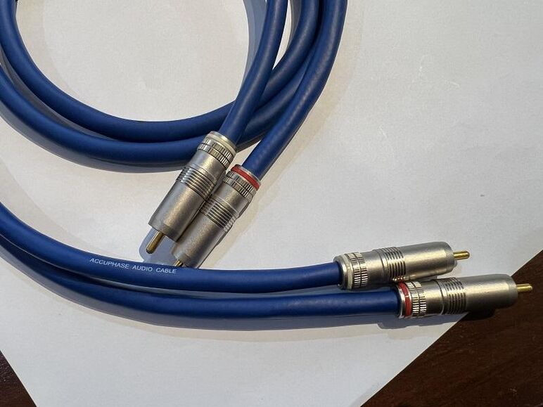 ACCUPHASE AL-10 RCA (14).JPG