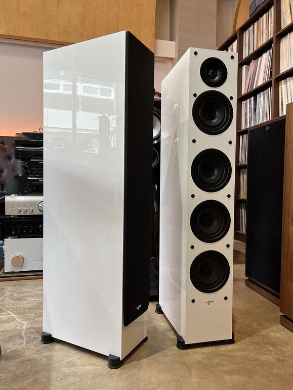 PARADIGM MONITOR SE 6000F (3).JPG