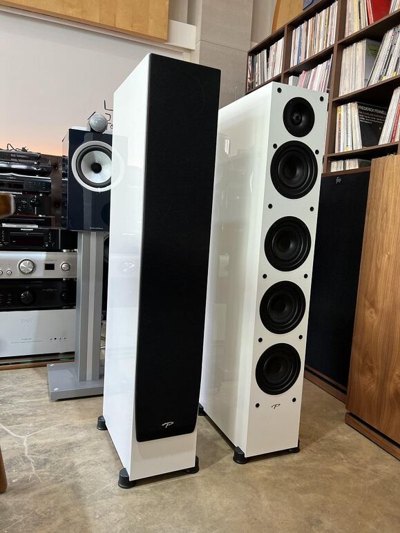 PARADIGM MONITOR SE 6000F (18).JPG