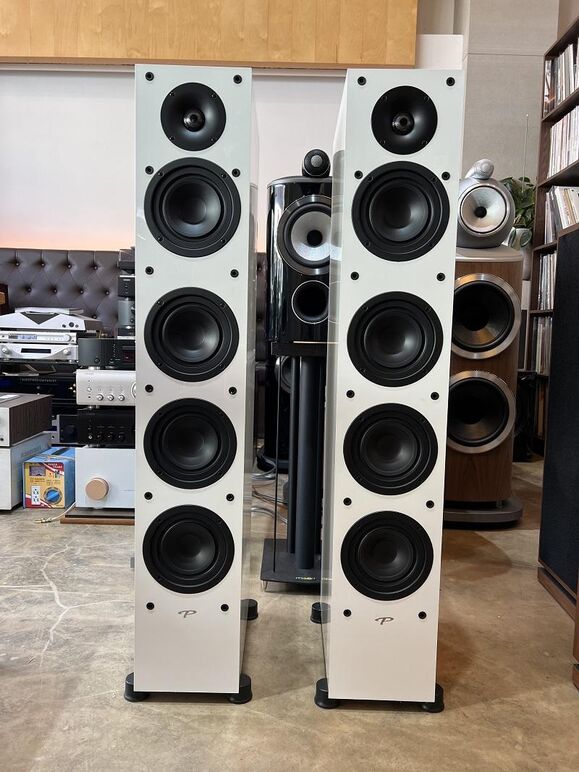 PARADIGM MONITOR SE 6000F (10).JPG