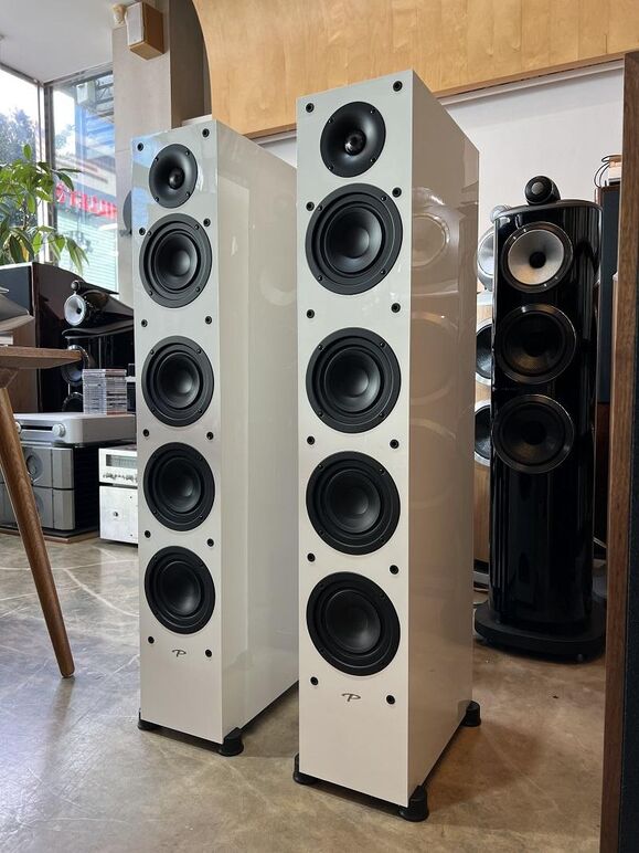 PARADIGM MONITOR SE 6000F (4).JPG