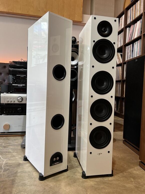 PARADIGM MONITOR SE 6000F (25).JPG