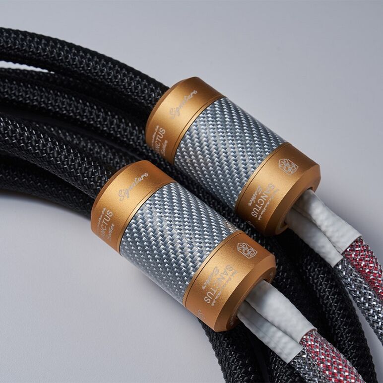 SANCTUS F1 SIGNATURE SPEAKER CABLE 3.jpg