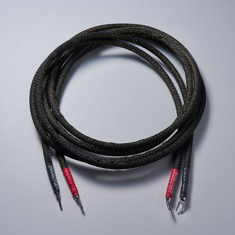 SANCTUS F4 SPEAKER CABLE 3.jpg