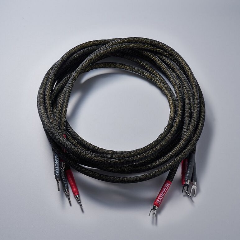 SANCTUS F4 SPEAKER CABLE 1.jpg