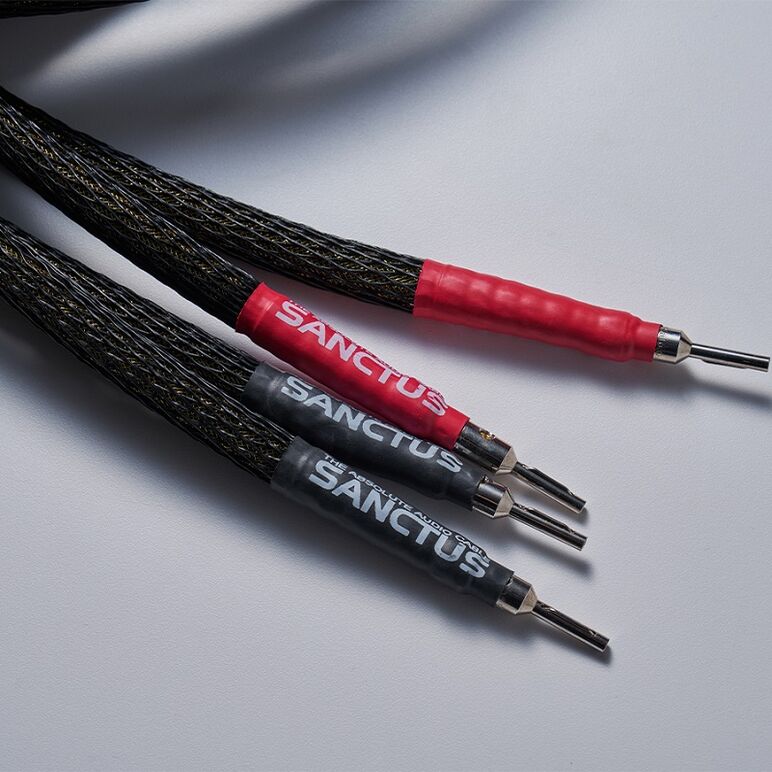 SANCTUS F4 SPEAKER CABLE 5.jpg