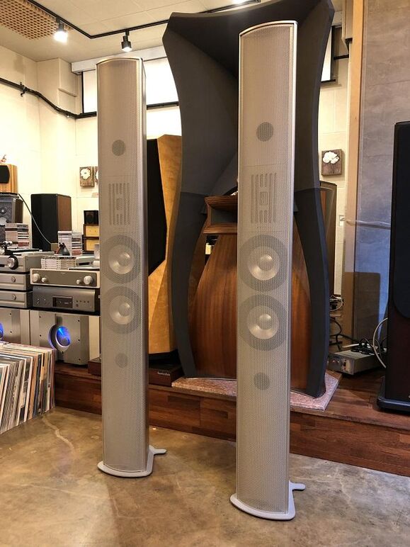 PIEGA P5 LTD MK2 9.jpg