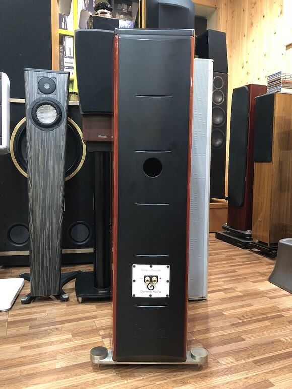 GEMME AUDIO TANTO (16).JPG