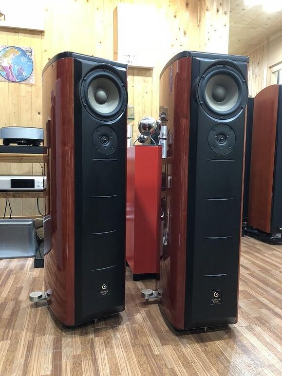 GEMME AUDIO TANTO (4).JPG