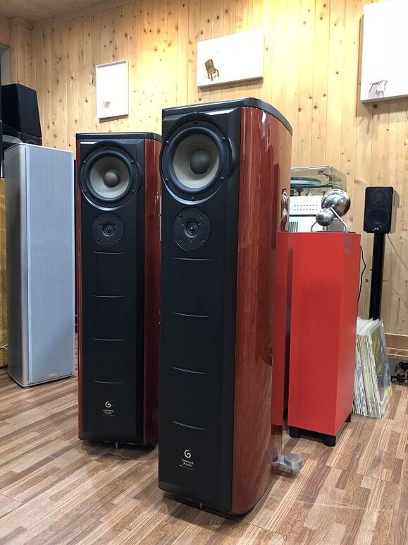 GEMME AUDIO TANTO (7).JPG