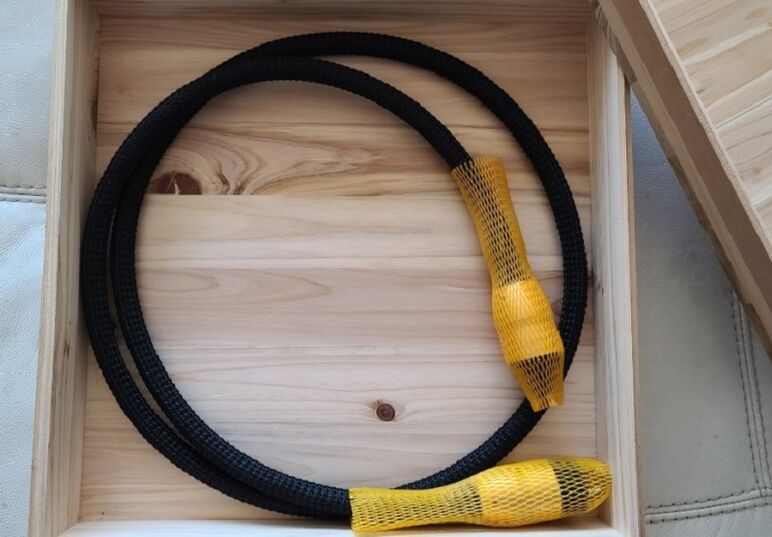 SANCTUS ESTHER POWER 5.jpg