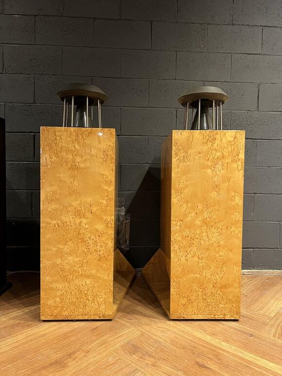 GERMAN PHYSICS UNICORN CUSTOM (6).JPG