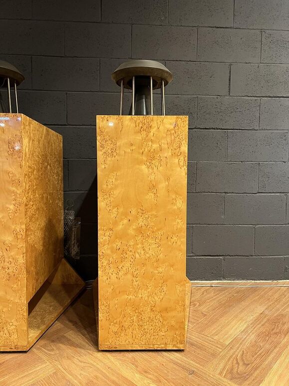 GERMAN PHYSICS UNICORN CUSTOM (11).JPG