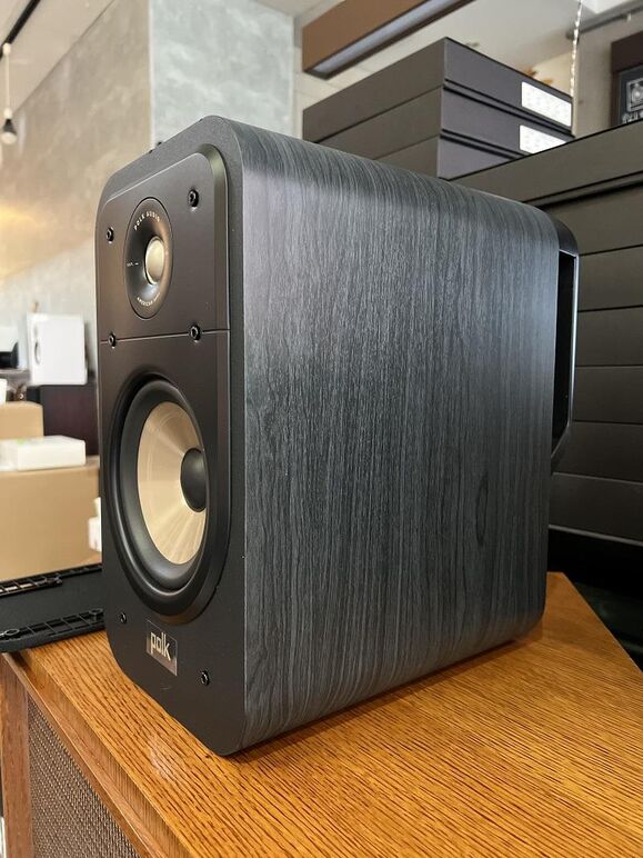 POLK AUDIO ELITE ES20 (9).JPG