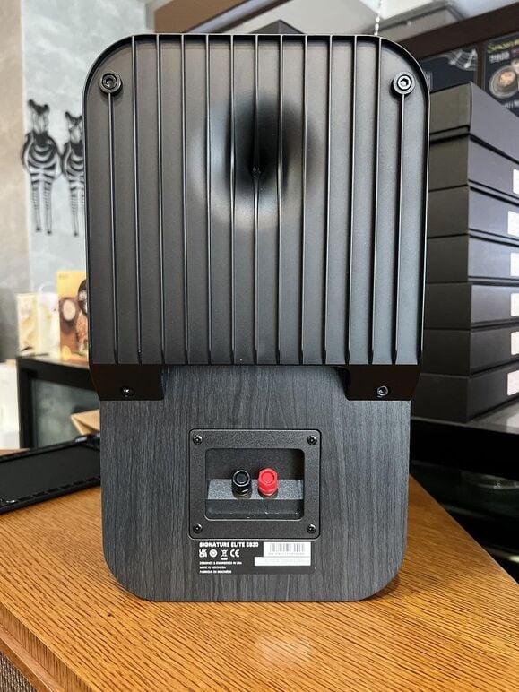 POLK AUDIO ELITE ES20 (25).JPG