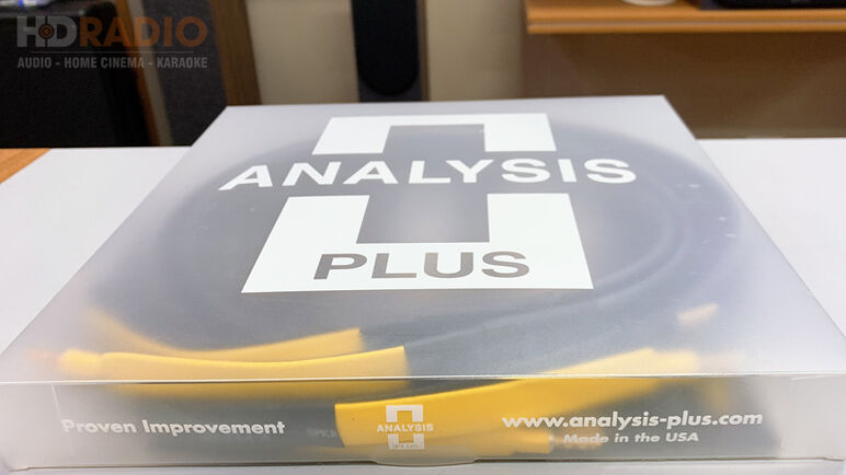 ANALYSIS PLUS BLACK MESH OVAL 9 13.jpg