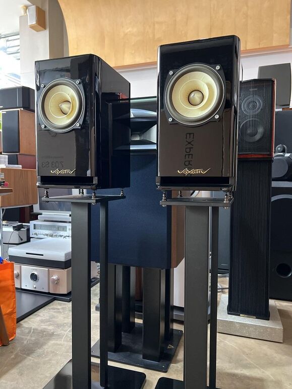 VOXATIV HAGEN 13.jpg