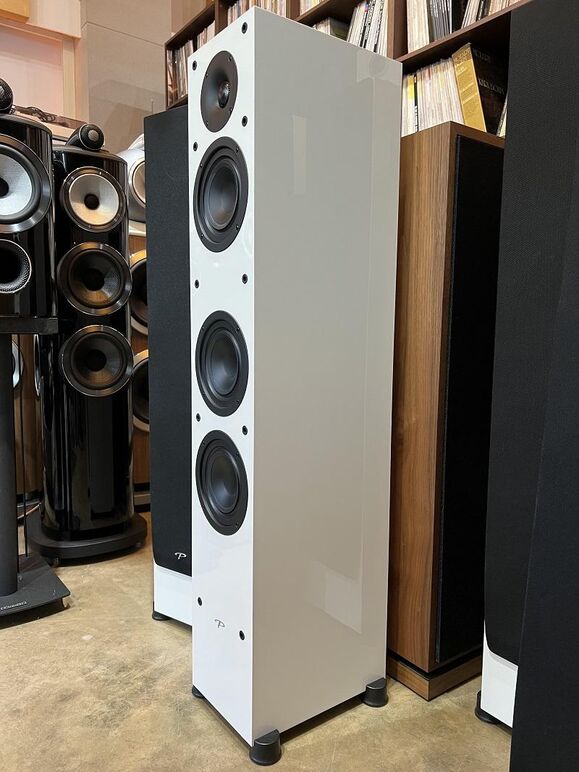 PARADIGM MONITOR SE 3000F (14).JPG