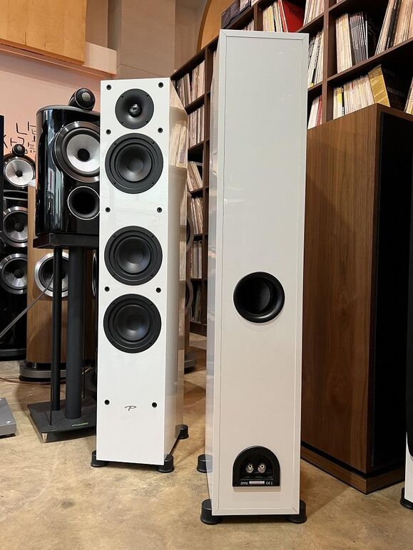 PARADIGM MONITOR SE 3000F (30).JPG