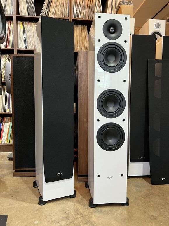 PARADIGM MONITOR SE 3000F (6).JPG