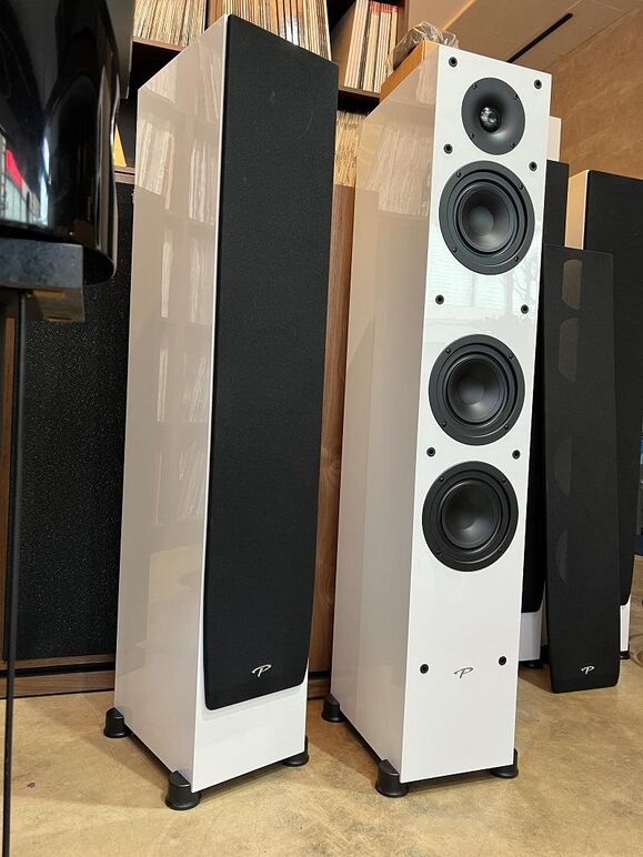 PARADIGM MONITOR SE 3000F (13).JPG