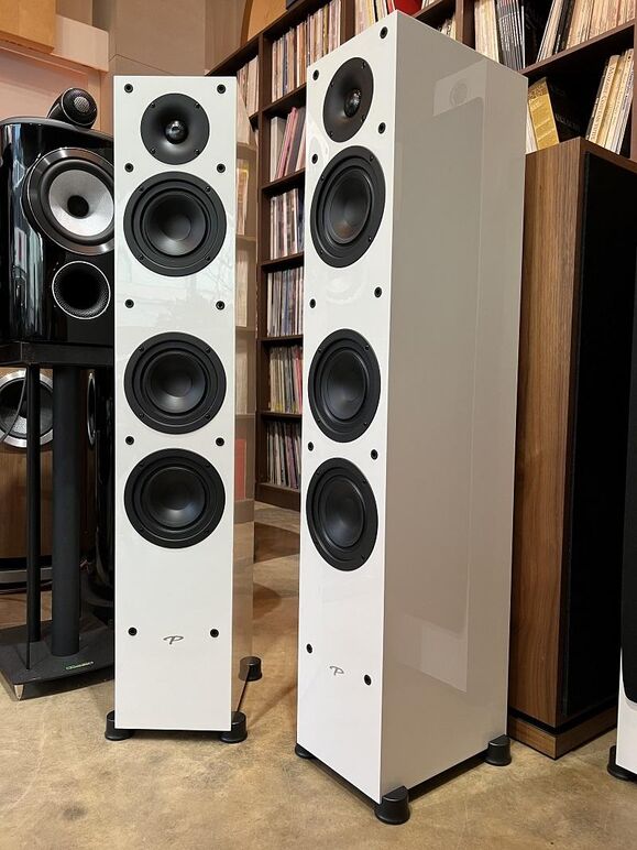 PARADIGM MONITOR SE 3000F (19).JPG