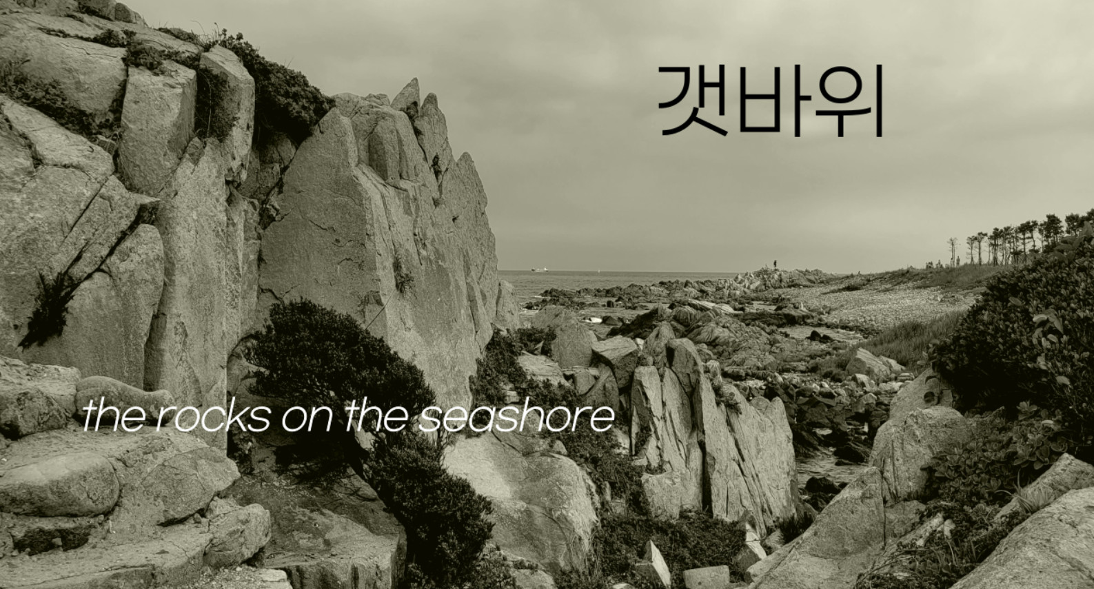 갯바위 the rocks on the seashore.jpg